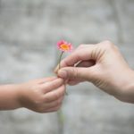 ピンクの花を手渡す親子の手