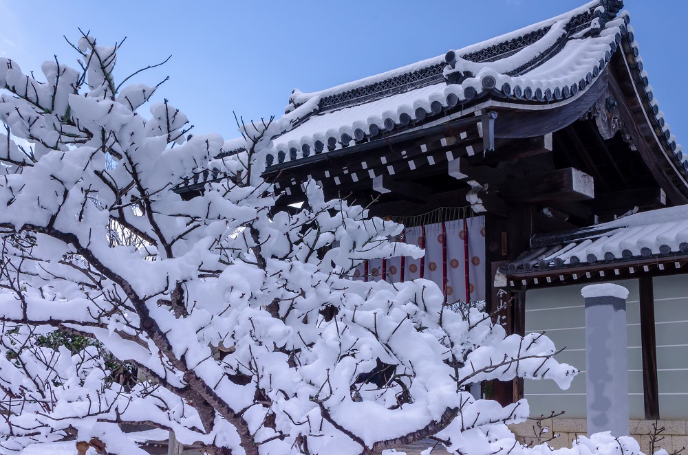 京都　寺院門前の雪