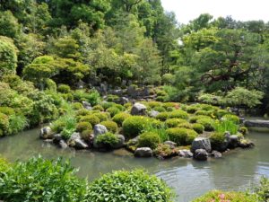 等持院　芙蓉池