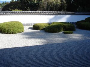 正伝寺　方丈前の庭