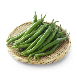 京野菜　伏見とうがらし