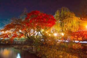 京都　祇園界隈の紅葉