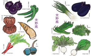 さまざまな京野菜　イラスト
