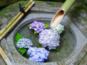柳谷観音　花手水