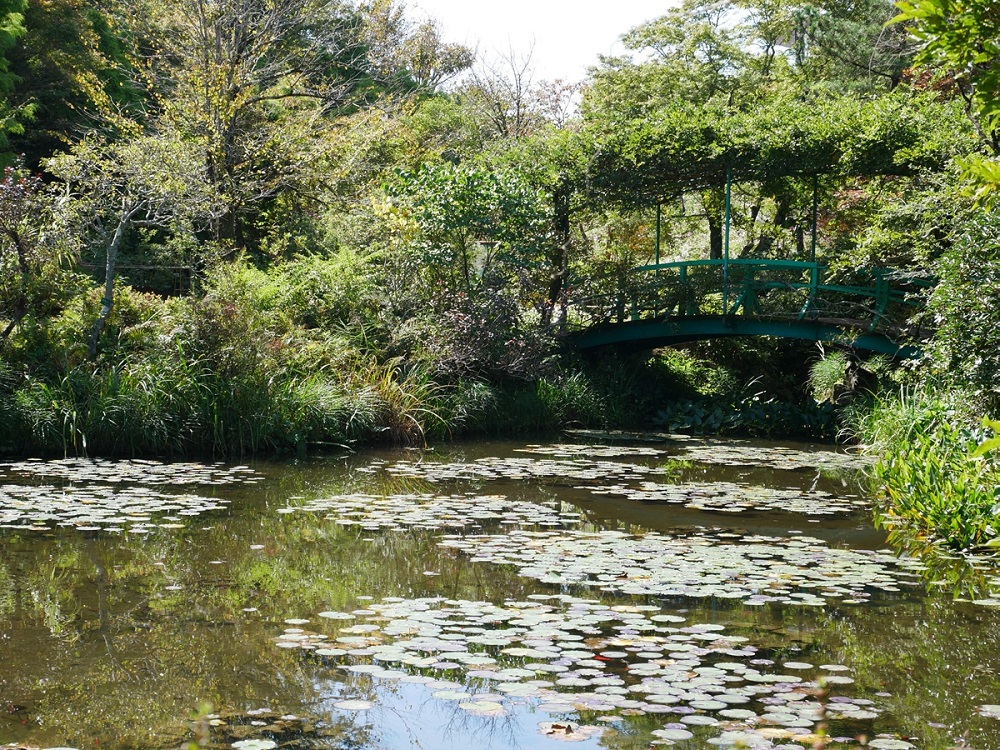 ガーデンミュージアム比叡　モネの代表作「睡蓮」をイメージした池