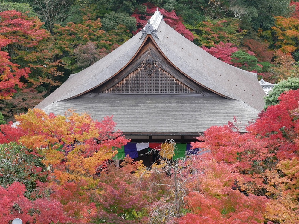 南禅寺　山門から観る紅葉