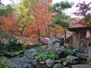 しょうざんリゾート京都　紅葉