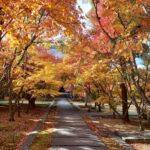 2024年興聖寺秋の画像2